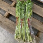 【山形県産 入荷情報】セリの入荷が始まりました