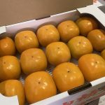【山形県産 入荷情報】庄内柿の入荷が始まりました