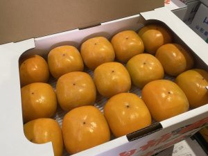 【山形県産 入荷情報】庄内柿の入荷が始まりました