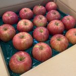【山形県産 入荷情報】りんご(シナノスイート)の入荷が始まりました