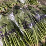 【山形県産 入荷情報】ほうれん草(秋期)の入荷が最盛期を迎えています