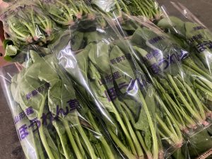 【山形県産 入荷情報】ほうれん草(秋期)の入荷が最盛期を迎えています