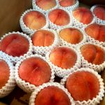 【山形県産 入荷情報】もも(あかつき)の入荷が始まりました