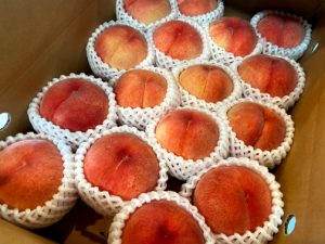 【山形県産 入荷情報】もも(あかつき)の入荷が始まりました