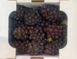 【山形県産 入荷情報】デラウェア(無加温)の入荷が始まりました