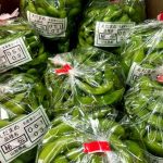 【山形県産 入荷情報】枝豆(秘伝豆)、食用菊(早生もって)の入荷が始まりました