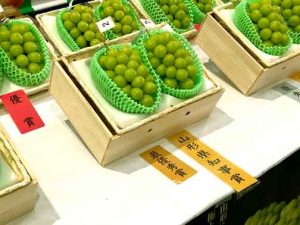 山形県ぶどう「シャインマスカット」品評会　山形県知事賞入賞品が2房30万円で落札
