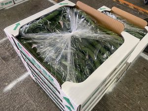 【山形県産 入荷情報】夏秋きゅうり・とうもろこしの入荷が始まりました