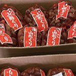 【山形県産 入荷情報】くりの入荷が始まりました