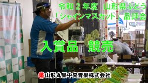 10月2日　山形県ぶどう「シャインマスカット」品評会　入賞品競売