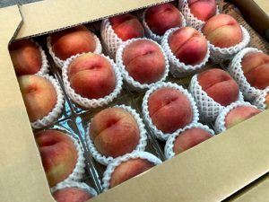 【山形県産 入荷情報】もも(川中島白桃)、食用菊(黄色菊)が入荷しています