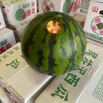 【山形県産 入荷情報】大玉スイカ・ピーマンの入荷が始まりました
