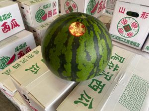 【山形県産 入荷情報】大玉スイカ・ピーマンの入荷が始まりました