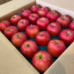 【山形県産 入荷情報】りんご(早生ふじ)の入荷が始まりました