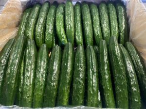 【山形県産 入荷情報】きゅうり(抑制栽培）、あけびの入荷が最盛期となりました