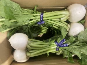 【山形県産 入荷情報】小かぶの入荷が始まりました