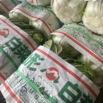【山形県産 入荷情報】白菜の入荷が最盛期を迎えます