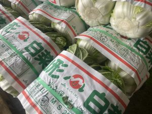 【山形県産 入荷情報】白菜の入荷が最盛期を迎えます