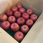 【山形県産 入荷情報】ふじりんご(贈答用)の入荷が最盛期を迎えています