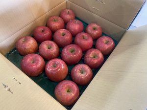 【山形県産 入荷情報】ふじりんご(贈答用)の入荷が最盛期を迎えています