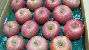 【山形県産 入荷情報】ふじ(りんご)の入荷が始まりました