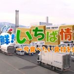 8月12日放送分 ピヨ卵ワイド 旬!鮮! 市場情報