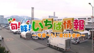 10月9日放送分 ピヨ卵ワイド 旬!鮮! 市場情報