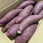 【県外産 入荷情報】紅はるか(さつまいも)の入荷が始まりました