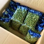 【山形県産 入荷情報】乾燥秘伝豆の入荷が最盛期を迎えています