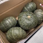 【国外産 入荷情報】輸入かぼちゃ(メキシコ産)の入荷が始まっています