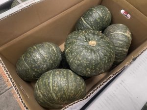 【国外産 入荷情報】輸入かぼちゃ(メキシコ産)の入荷が始まっています