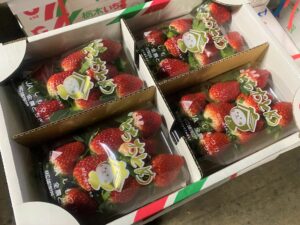 【県外産 入荷情報】とちおとめ(栃木県産)の入荷が始まっています