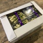 【山形県産 入荷情報】山浅月(やまあさつき)の入荷が始まっています