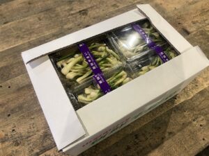 【山形県産 入荷情報】山浅月(やまあさつき)の入荷が始まっています