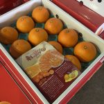 【県外産 入荷情報】紅まどんな(愛媛県産)の入荷が始まりました