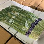 【県外産 入荷情報】にら(栃木・福島・茨城県産)の入荷が始まっています