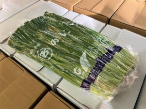 【県外産 入荷情報】にら(栃木・福島・茨城県産)の入荷が始まっています