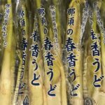 【県外産 入荷情報】山うど(栃木県産)の入荷が始まっています