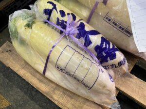 【山形県産 入荷情報】越冬大根の入荷が最盛期を迎えています