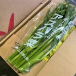 【山形県産 入荷情報】アスパラ菜が入荷しています