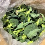 【県外産 入荷情報】ブロッコリー(香川県産)の入荷が最盛期を迎えようとしています
