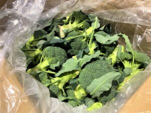 【県外産 入荷情報】ブロッコリー(香川県産)の入荷が最盛期を迎えようとしています
