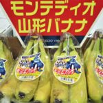 【国外産 入荷情報】モンテディオ山形バナナ(エクアドル産)