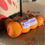 【県外産 入荷情報】八朔(はっさく)(和歌山県産)の入荷が最盛期を迎えています