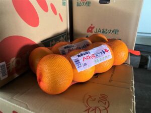 【県外産 入荷情報】八朔(はっさく)(和歌山県産)の入荷が最盛期を迎えています