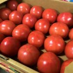 【県外産 入荷情報】大玉トマト(栃木県産)の入荷が始まっています