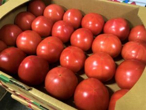 【県外産 入荷情報】大玉トマト(栃木県産)の入荷が始まっています