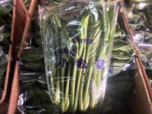 【山形県産 入荷情報】小松菜の入荷が春の最盛期を迎えようとしています