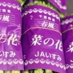 【県外産 入荷情報】菜の花(香川県産・千葉県産)の入荷が最盛期を迎えています