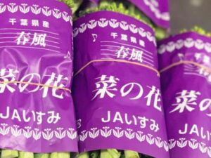【県外産 入荷情報】菜の花(香川県産・千葉県産)の入荷が最盛期を迎えています